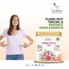 Tifusion Kidney Detox Tea with Dandelion Root & Amp, Chicory, Kalmegh, Green Tea ,Tulsi | Detox , Improves Digestive Health | Anti Inflammatory and Anti Oxidant Rich Herbal Tea - Thumbnail Image 3