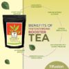 Tifusion Vitality Booster Tea For Men and Women Health With Gokhshuru, Ashwagandha, Safed Musli Natural Herbal Testosterone Booster Tea - Thumbnail Image 10