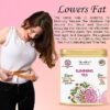 Tifusion Slimming Healthy Green Tea for with Garcinia, Cinnamon, Ginger, Ashwagandha, Tulsi | Natural Herbal Whole Loose Leaf With Herbs - Thumbnail Image 5