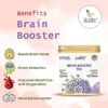 Tifusion Brain Booster Tea - Enhance for Memory, Focus Concertration, Clarity, Retention Power with Brahmi, Ashwagandha, Shankhapushpi, Rosemary, Jasmine - Thumbnail Image 3