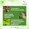 Tifusion Anti Diabetes Tea with Gymnemma Syluestre, Vijaysar, Jamun Seeds, Giloy, Paneer Dodi for Redulating Blood Sugar Levels, Support Diabetes Balance Tea - Thumbnail Image 5