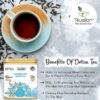 Tifusion Glowing Skin Detox Tea for Healthy Hair & Glowing Skin With Green Tea| Steep as Hot Skin Detox Tea or Iced Antioxidant Acne Herbal Cooler |For Antiageing Blemish Control Wrinkles Pimples - Thumbnail Image 12